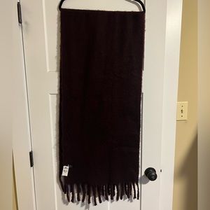 Express dark plum scarf